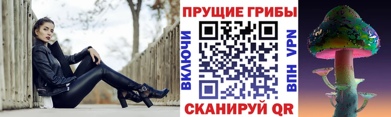Галлюциногенные грибы Psilocybe  Бор 